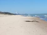 Lake Michigan beaches